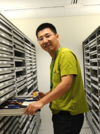 金沙博彩创新论坛第一千八百零一讲：虫鸣凤舞伴花香：现代陆地生态系统的起源